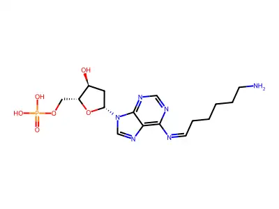 Hexyl-camp structure