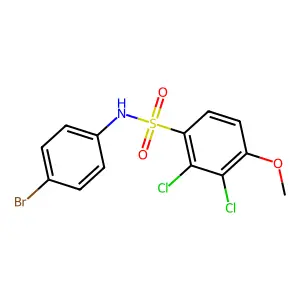N-(4-bromophenyl)-2,3-dichloro-4-methoxybenzenesulfonamide structure