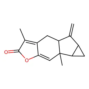 Dehydroshizukanolide structure