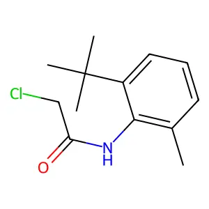 N-(2-tert-butyl-6-methylphenyl)-2-chloroacetamide structure
