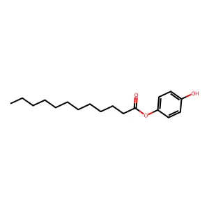 Lewis y Tetrasaccharide structure
