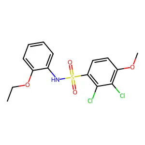 2,3-dichloro-N-(2-ethoxyphenyl)-4-methoxybenzenesulfonamide structure