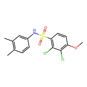 2,3-dichloro-N-(3,4-dimethylphenyl)-4-methoxybenzenesulfonamide structure