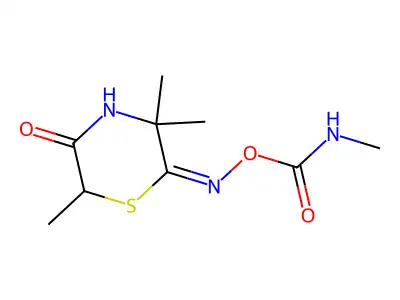 [(3,3,6-trimethyl-5-oxothiomorpholin-2-ylidene)amino] N-methylcarbamate structure