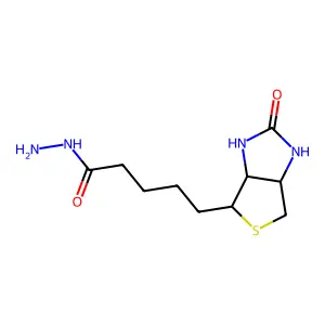 生物素酰肼 structure