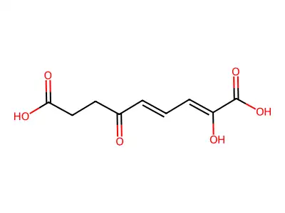 2-羟基-6-氧-2,4-壬二烯二酸 structure