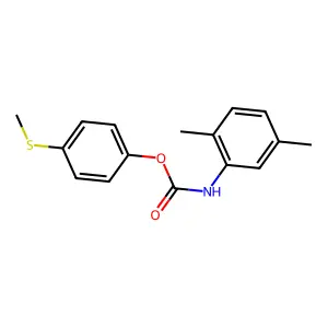(4-methylsulfanylphenyl) N-(2,5-dimethylphenyl)carbamate structure