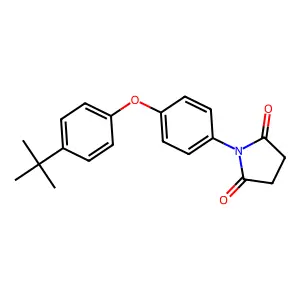 1-[4-(4-Tert-butylphenoxy)phenyl]pyrrolidine-2,5-dione structure
