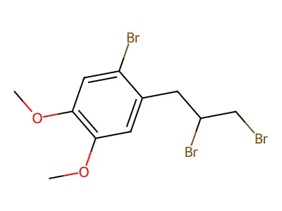 1-Bromo-2-(2,3-dibromopropyl)-4,5-dimethoxybenzene structure