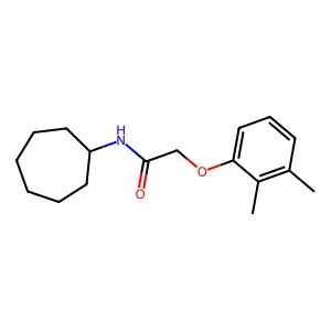 N-cycloheptyl-2-(2,3-dimethylphenoxy)acetamide structure