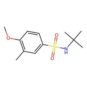N-叔丁基-4-甲氧基-3-甲基苯磺酰胺 structure