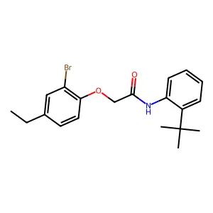 2-(2-bromo-4-ethylphenoxy)-N-(2-tert-butylphenyl)acetamide structure