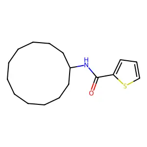 N-cyclododecylthiophene-2-carboxamide structure