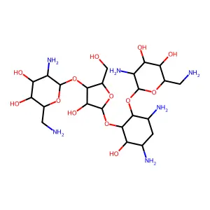 Machilusin structure