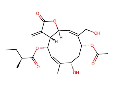 Eurecurvin structure