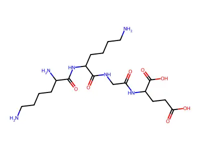 Lys-lys-gly-glu structure
