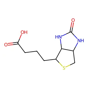 4-(2-Oxo-Hexahydro-Thieno(3,4-D)Imidazol-4-Yl)-Butyricacid structure