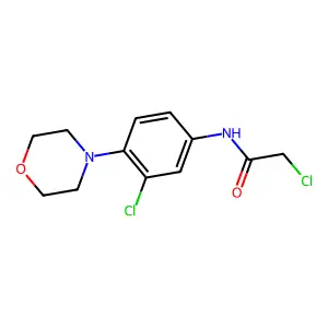 2-Chloro-N-(3-chloro-4-morpholin-4-yl-phenyl)-acetamide structure