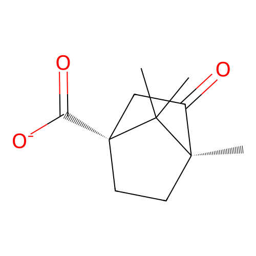 (1R,4S)-4,7,7-Trimethyl-3-oxobicyclo[2.2.1]heptane-1-carboxylate structure