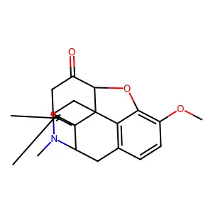 RX 336M structure