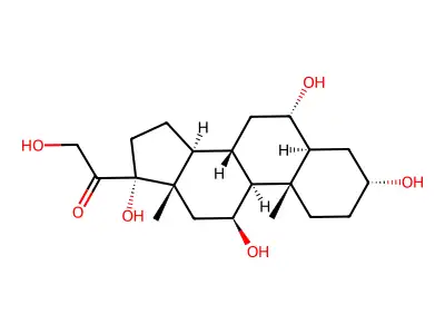 Dimenformon prolongatum structure