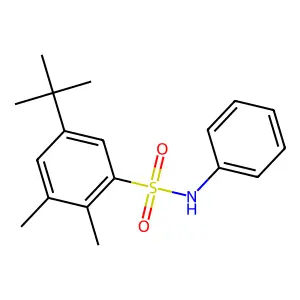 5-tert-butyl-2,3-dimethyl-N-phenylbenzenesulfonamide structure