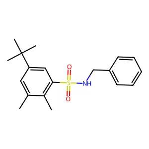 N-benzyl-5-tert-butyl-2,3-dimethylbenzenesulfonamide structure