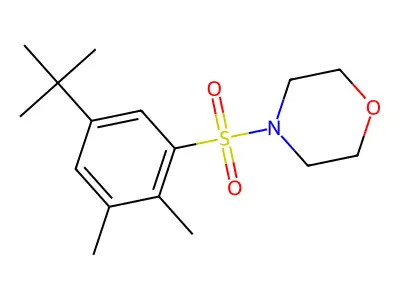 4-(5-Tert-butyl-2,3-dimethylphenyl)sulfonylmorpholine structure
