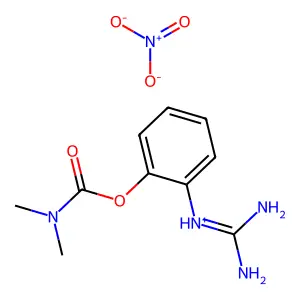 Carbamic acid, dimethyl-, 2-guanidinophenyl ester, nitrate structure