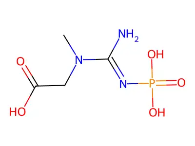 磷酸肌酸 structure