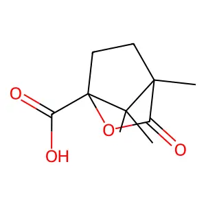 2-Bornanecarboxylic acid structure