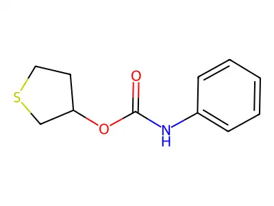 thiolan-3-yl N-phenylcarbamate structure