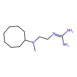 Guanidine, (2-(N-methylcyclooctylamino)ethyl)- structure