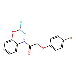2-(4-bromophenoxy)-N-[2-(difluoromethoxy)phenyl]acetamide structure