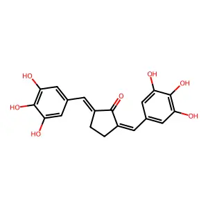 Cyclopentanone, 2,5-bis[(3,4,5-trihydroxyphenyl)methylene]-, (2E,5E)- structure