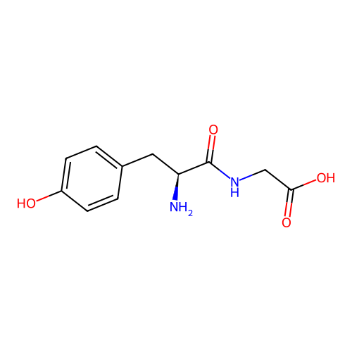 Tyr-Gly structure