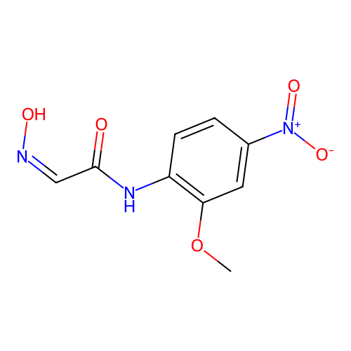 2-(N-hydroxyimino)-N-(2-methoxy-4-nitrophenyl)acetamide structure
