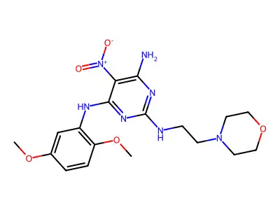 N4-(2,5-dimethoxyphenyl)-N2-(2-morpholinoethyl)-5-nitropyrimidine-2,4,6-triamine structure