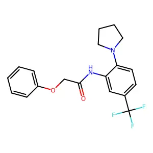 2-phenoxy-N-[2-pyrrolidin-1-yl-5-(trifluoromethyl)phenyl]acetamide structure