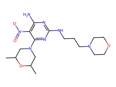 6-(2,6-dimethylmorpholino)-N2-(3-morpholinopropyl)-5-nitropyrimidine-2,4-diamine structure