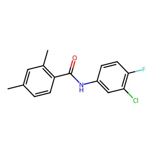 N-(3-chloro-4-fluorophenyl)-2,4-dimethylbenzamide structure