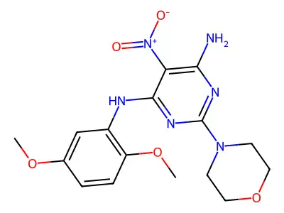 N4-(2,5-dimethoxyphenyl)-2-morpholino-5-nitropyrimidine-4,6-diamine structure