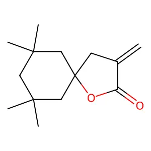 1-oxaspiro[4.5]decan-2-one, 7,7,9,9-tetramethyl-3-methylene- structure