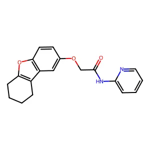 N-pyridin-2-yl-2-(6,7,8,9-tetrahydrodibenzofuran-2-yloxy)acetamide structure