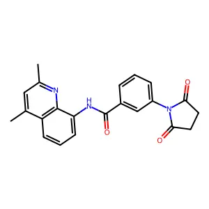 N-(2,4-dimethylquinolin-8-yl)-3-(2,5-dioxopyrrolidin-1-yl)benzamide structure