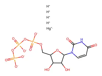 5-Hg-Dutp structure