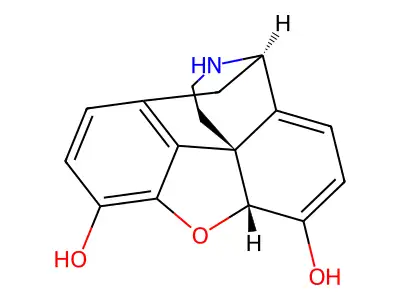 Dehydronormorphine structure