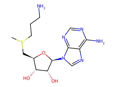 decarboxylated AdoMet structure