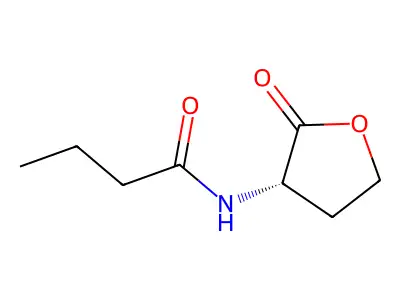 N-Butanoyl-DL-homoserine lactone structure