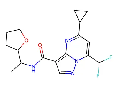 5-cyclopropyl-7-(difluoromethyl)-N-[1-(oxolan-2-yl)ethyl]pyrazolo[1,5-a]pyrimidine-3-carboxamide structure